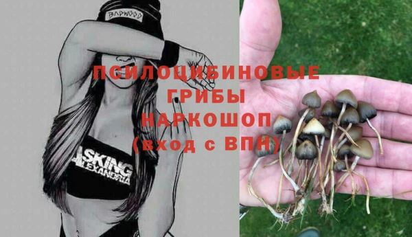 винт Баксан