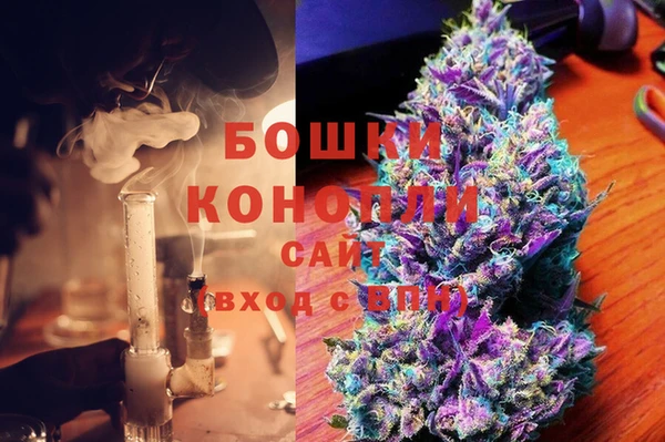 ПСИЛОЦИБИНОВЫЕ ГРИБЫ Балабаново